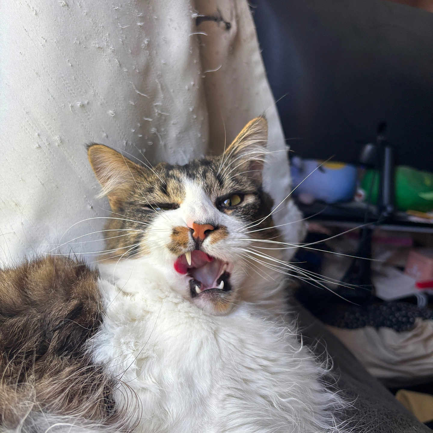Asmodeus
