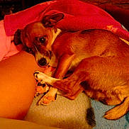 Havana a rejoint le concours — aidez-le/la à gagner de superbes lots !