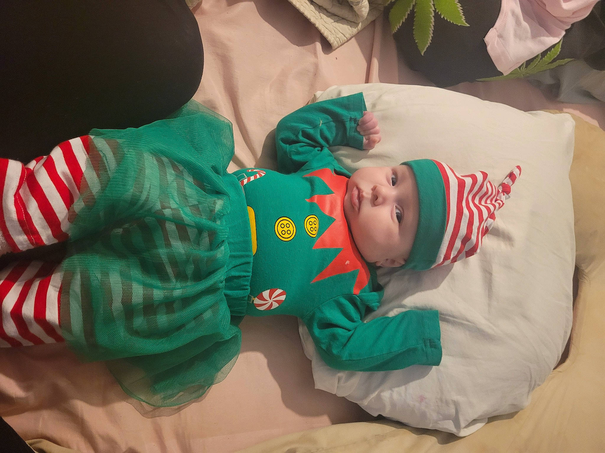 Daenerys is registered to the contest to win money with this photo: baby, baby_toddler_clothing, carmine, child, christmas, comfort, event, fictional_character, happy, hat, headwear, holiday, human_body, leg, person, plant, room, sitting, sleeve, textile