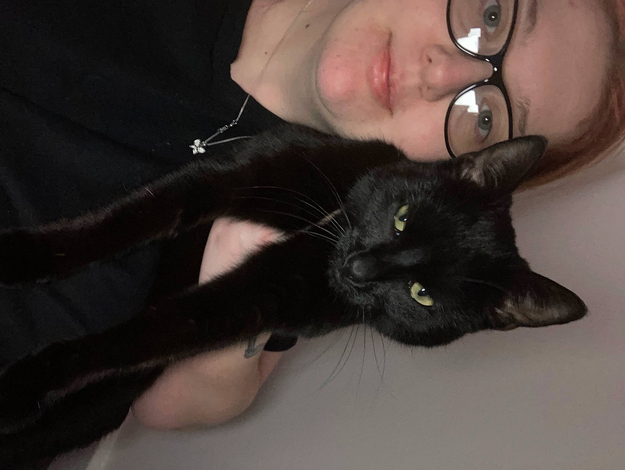 Raphy is registered to the contest to win money with this photo: black_hair, bombay, carnivore, cat, comfort, ear, eye, eyebrow, eyelash, felidae, gesture, hair, head, iris, jaw, nose, skin, small_to_medium_sized_cats, snout, whiskers