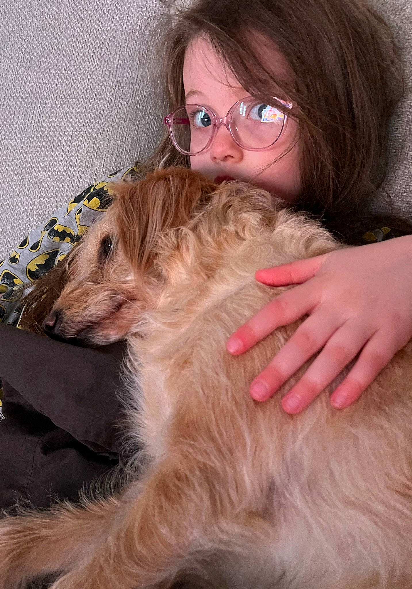 Poppy joined the competition — help win amazing prizes! blond, brown_hair, carnivore, comfort, companion_dog, dog, dog_breed, ear, eyewear, fawn, fur, glasses, happy, lap, liver, sitting, snout, sporting_group, vision_care, working_animal