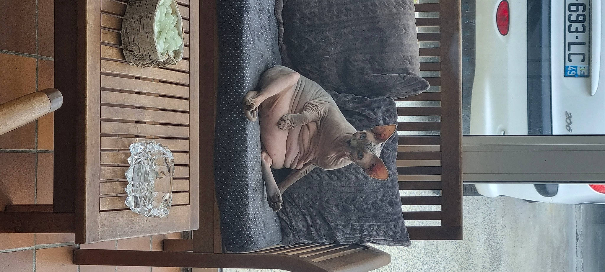 Fenrir a rejoint le concours — aidez-le/la à gagner de superbes lots ! art, beard, carving, comfort, denim, dress, facade, hat, metal, pattern, relief, room, sitting, sleeve, visual_arts, wood, wrist