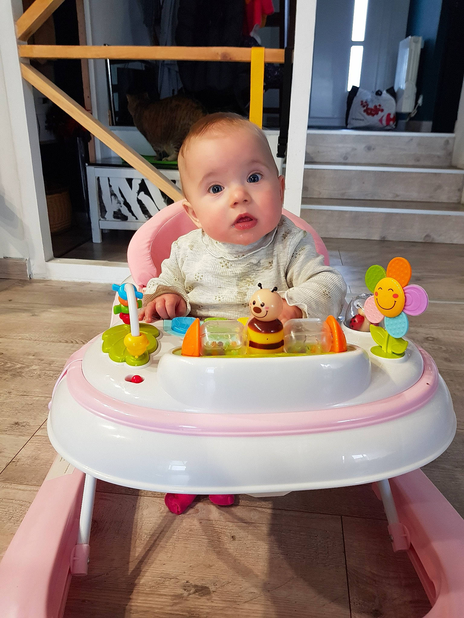 Marina participe au concours pour gagner de l'argent avec cette photo : baby, birthday, cake, child, food, person, play, toddler