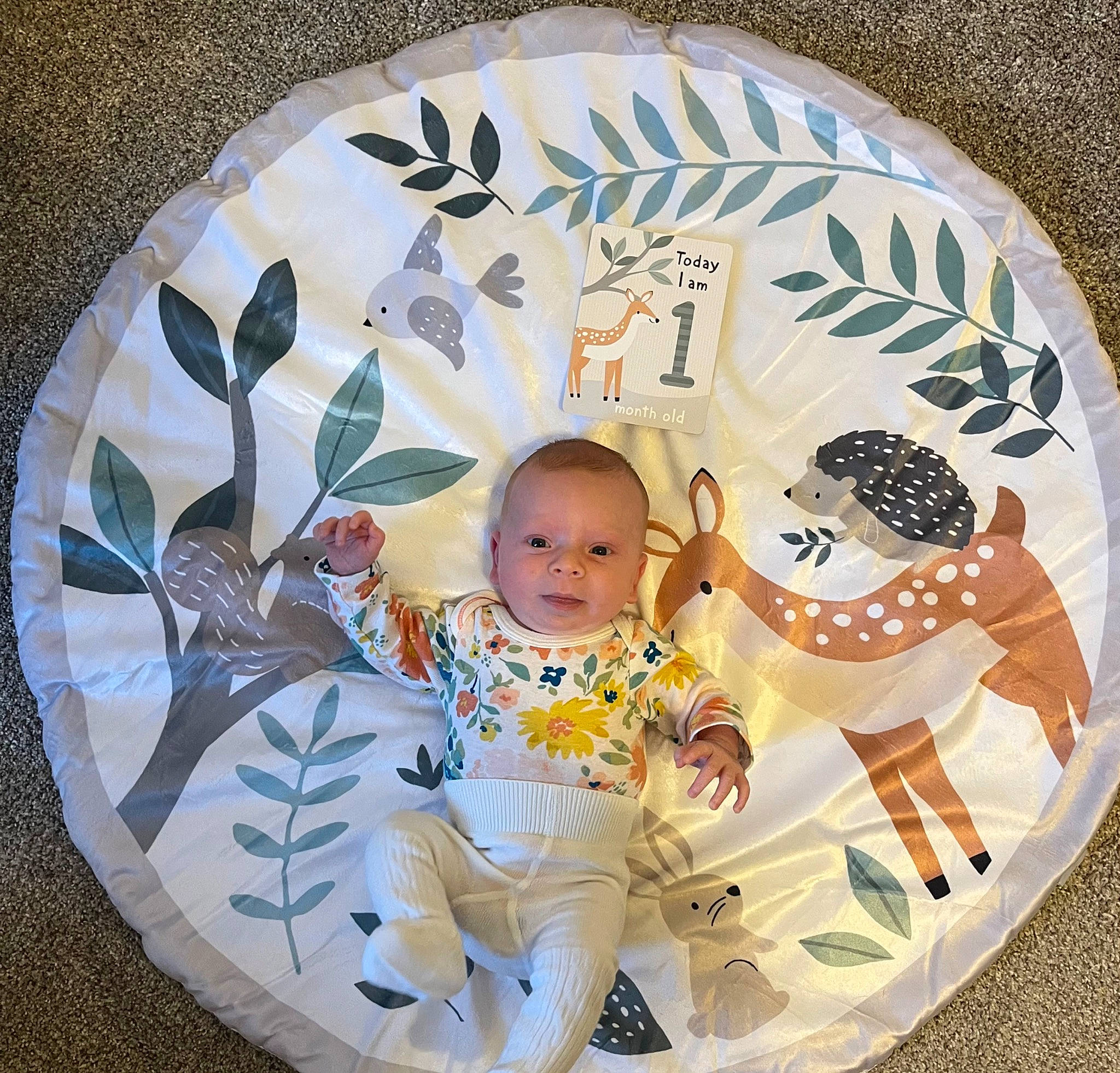 Sadie is registered to the contest to win money with this photo: art, baby, baby_products, baby_toddler_clothing, child, circle, dishware, fashion_accessory, font, grass, happy, home_accessories, illustration, linens, pattern, person, plate, serveware, sitting, sleeve