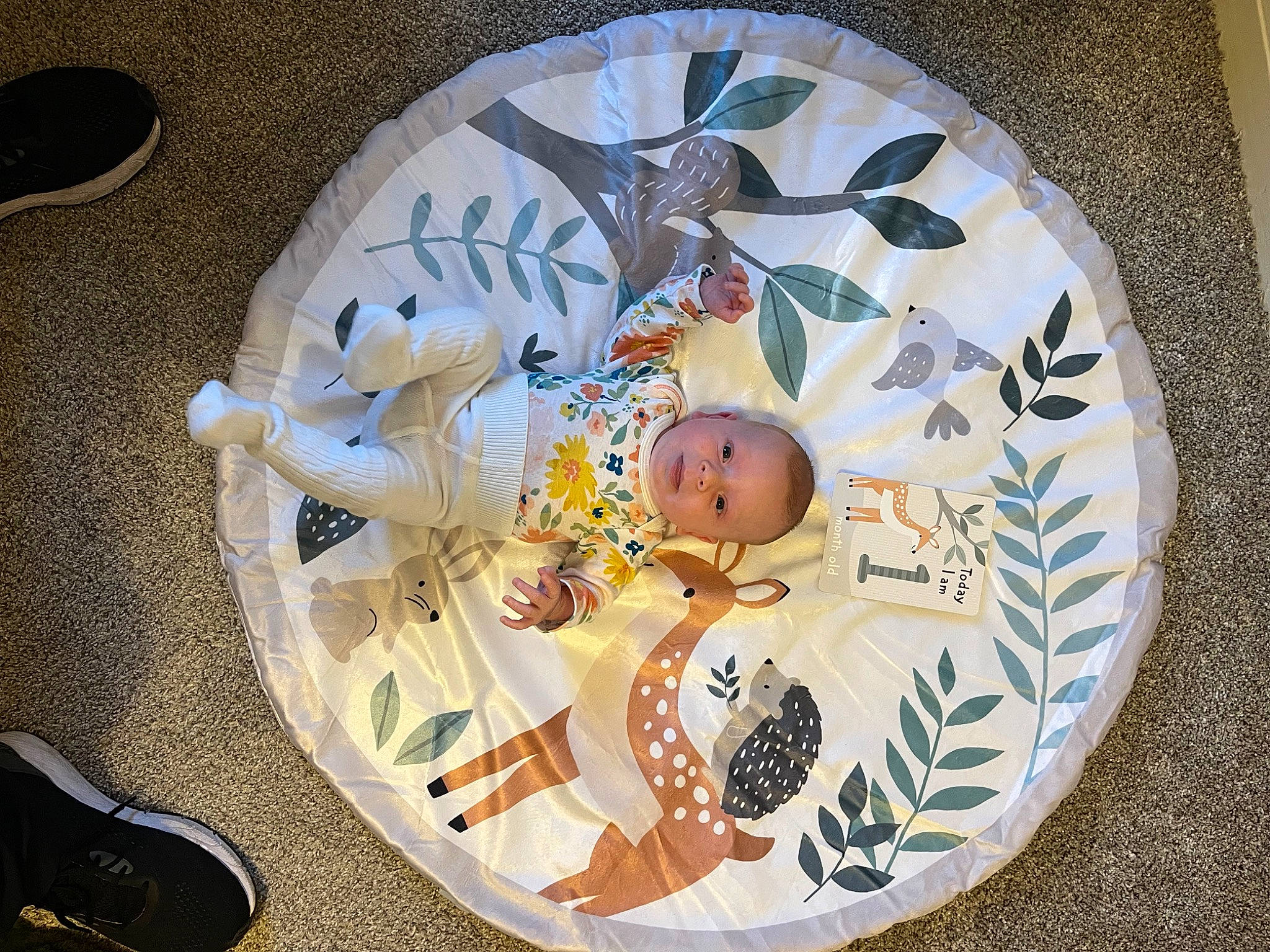Sadie joined the competition — help win amazing prizes! baby, baby_products, baby_toddler_clothing, baby_toys, bib, child, circle, comfort_food, dishware, flooring, home_accessories, linens, pattern, person, room, serveware, toddler