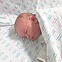 newborn, baby, sleeping, blanket, hospital, infant, swaddled, bed, soft, peaceful, cute, face, head, skin, clothing, young, resting, healthcare, comfort, indoors
