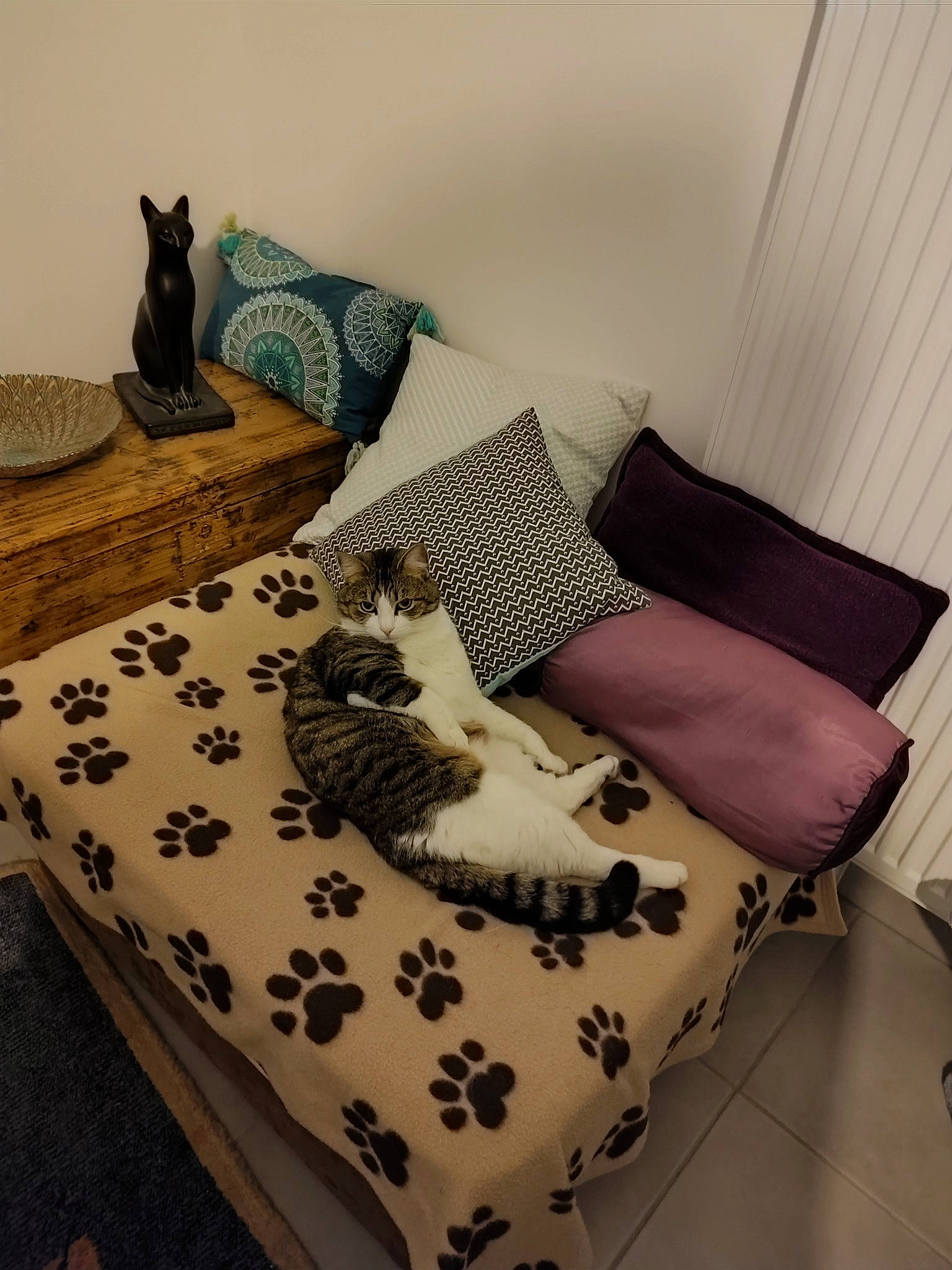 Jade a rejoint le concours — aidez-le/la à gagner de superbes lots ! bedding, carnivore, cat, comfort, couch, felidae, floor, flooring, furniture, hardwood, interior_design, linens, living_room, pattern, property, purple, rectangle, studio_couch, textile, wood