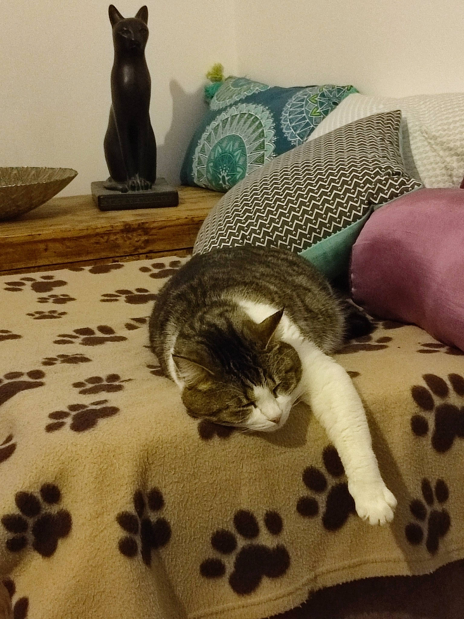 Jade a rejoint le concours — aidez-le/la à gagner de superbes lots ! carnivore, cat, comfort, couch, felidae, floor, flooring, grey, hardwood, house, interior_design, linens, mammal, room, small_to_medium_sized_cats, tail, textile, vertebrate, whiskers, wood