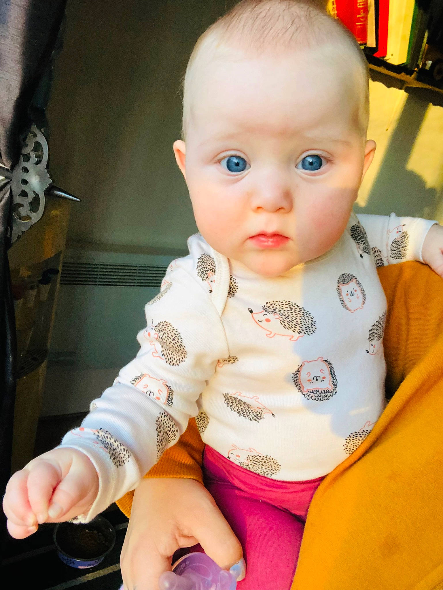 Lianna participe au concours pour gagner de l'argent avec cette photo : baby, baby_toddler_clothing, blond, cheek, child, chin, eye, eyelash, fun, human_body, iris, lip, mouth, neck, nose, person, shelf, sitting, skin, sleeve