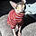 Rockie Mue
