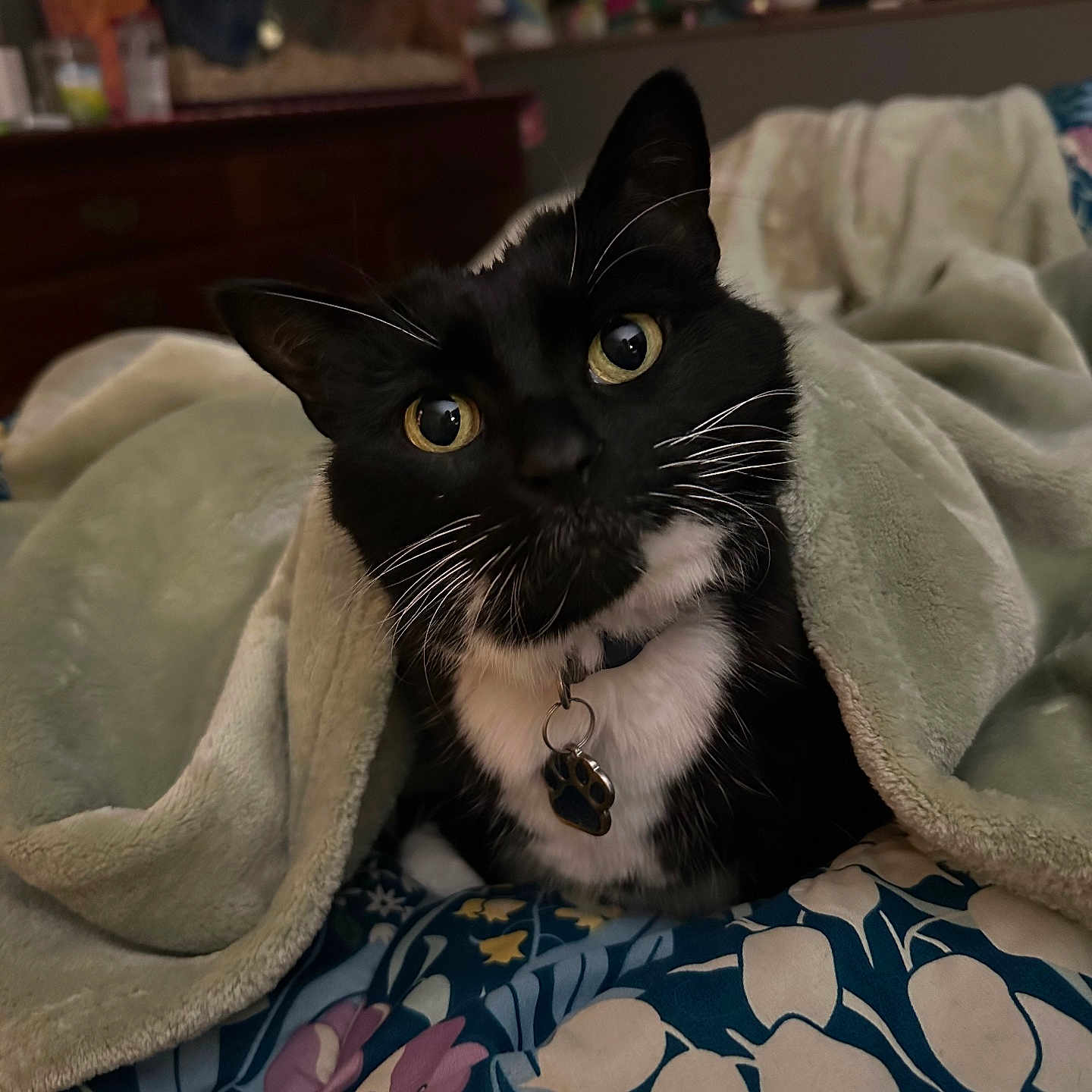 Wiggles