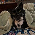 Patsy R.
