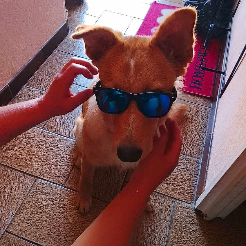 Tina