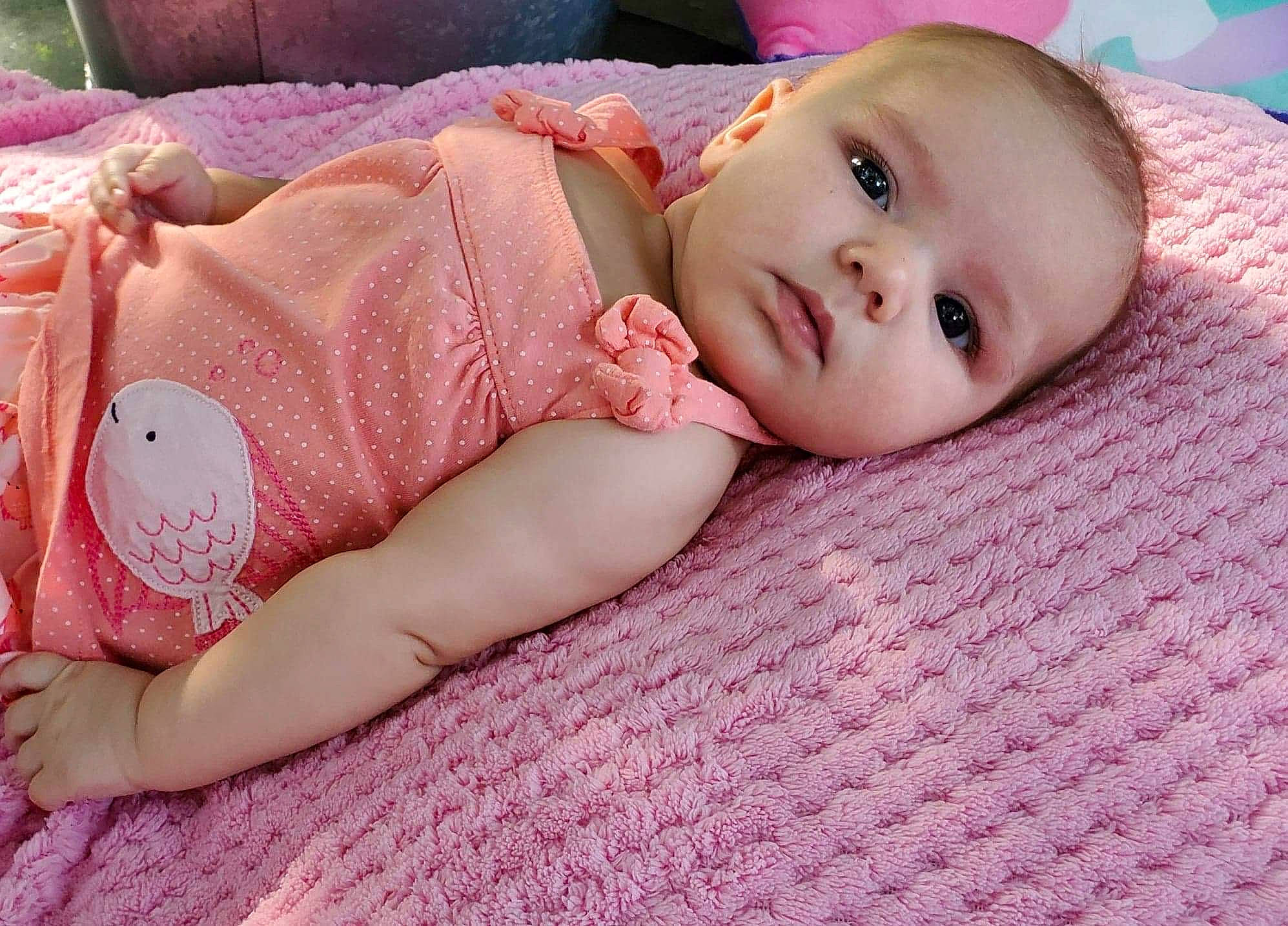 Freya joined the competition — help win amazing prizes! baby, baby_products, baby_sleeping, baby_toddler_clothing, cheek, child, comfort, eye, eyelash, iris, linens, lip, pattern, person, pink, portrait_photography, sitting, skin, sleeve, toddler