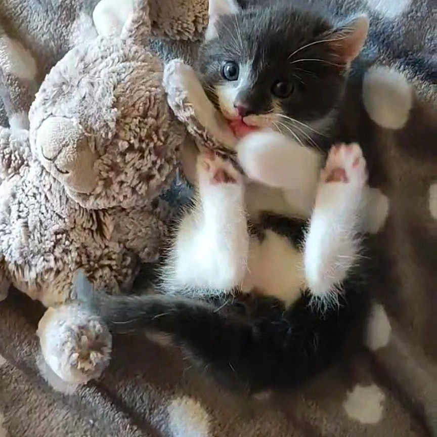 Kiki