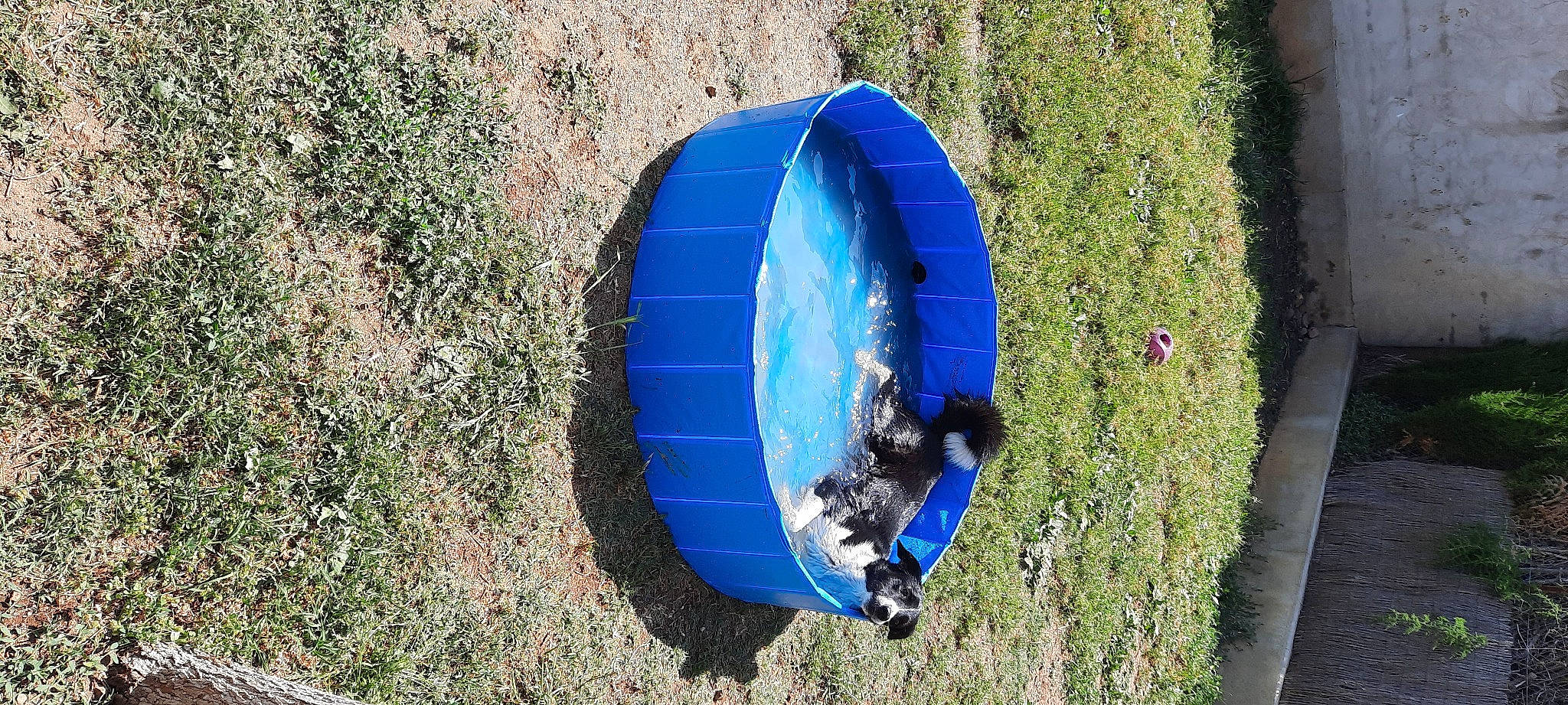 Fiona a rejoint le concours — aidez-le/la à gagner de superbes lots ! adventure, automotive_tire, automotive_wheel_system, circle, electric_blue, grass, grassland, inflatable, landscape, leisure, personal_protective_equipment, plant, plastic, recreation, shadow, slope, soil, tints_and_shades, tree, wind