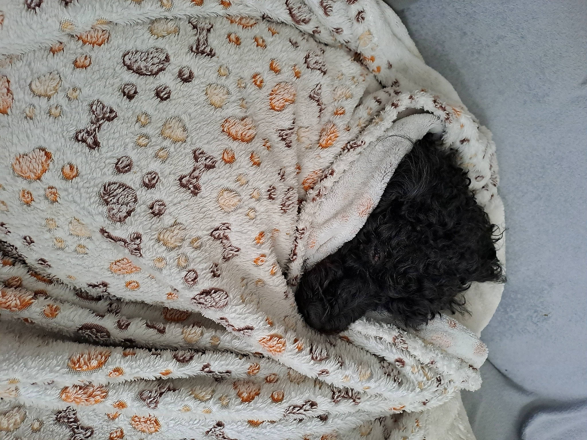 Elfie participe au concours pour gagner de l'argent avec cette photo : art, bedding, fashion_accessory, fashion_design, fur, grey, linens, motif, needlework, outerwear, pattern, peach, rock, sleeve, t_shirt, visual_arts, waist, wood, wool, woven_fabric