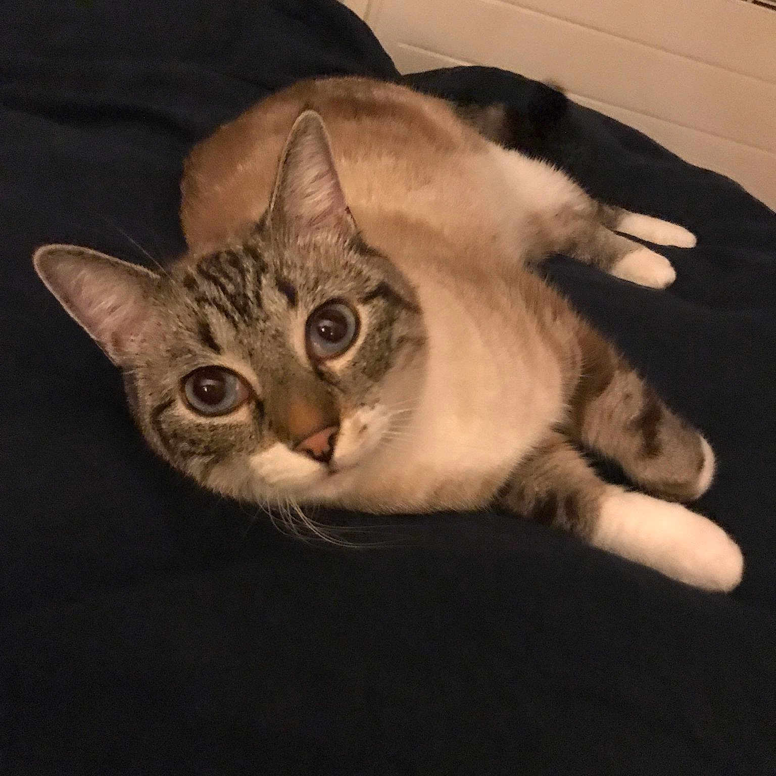 Nano