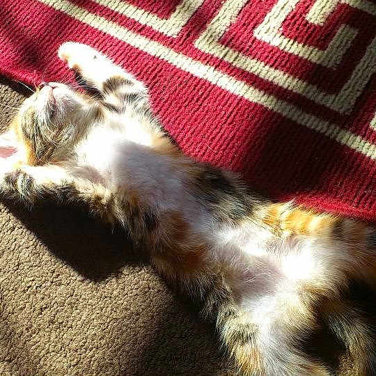 Tabitha is registered to the contest to win money with this photo: