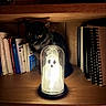 cat, black_cat, animal, pet, feline, sitting, staring, golden_eyes, bookshelf, books, notebooks, library, indoor, wood, shelf, lamp, ghost_lamp, glowing, warm_lighting, portrait
