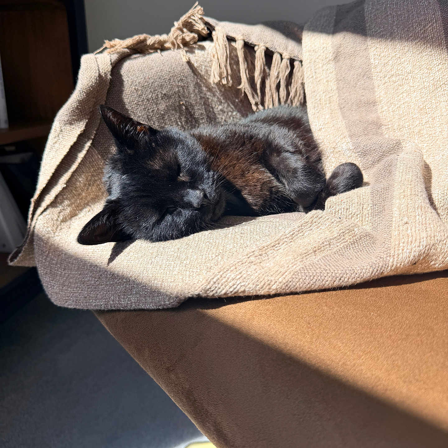 Chloe