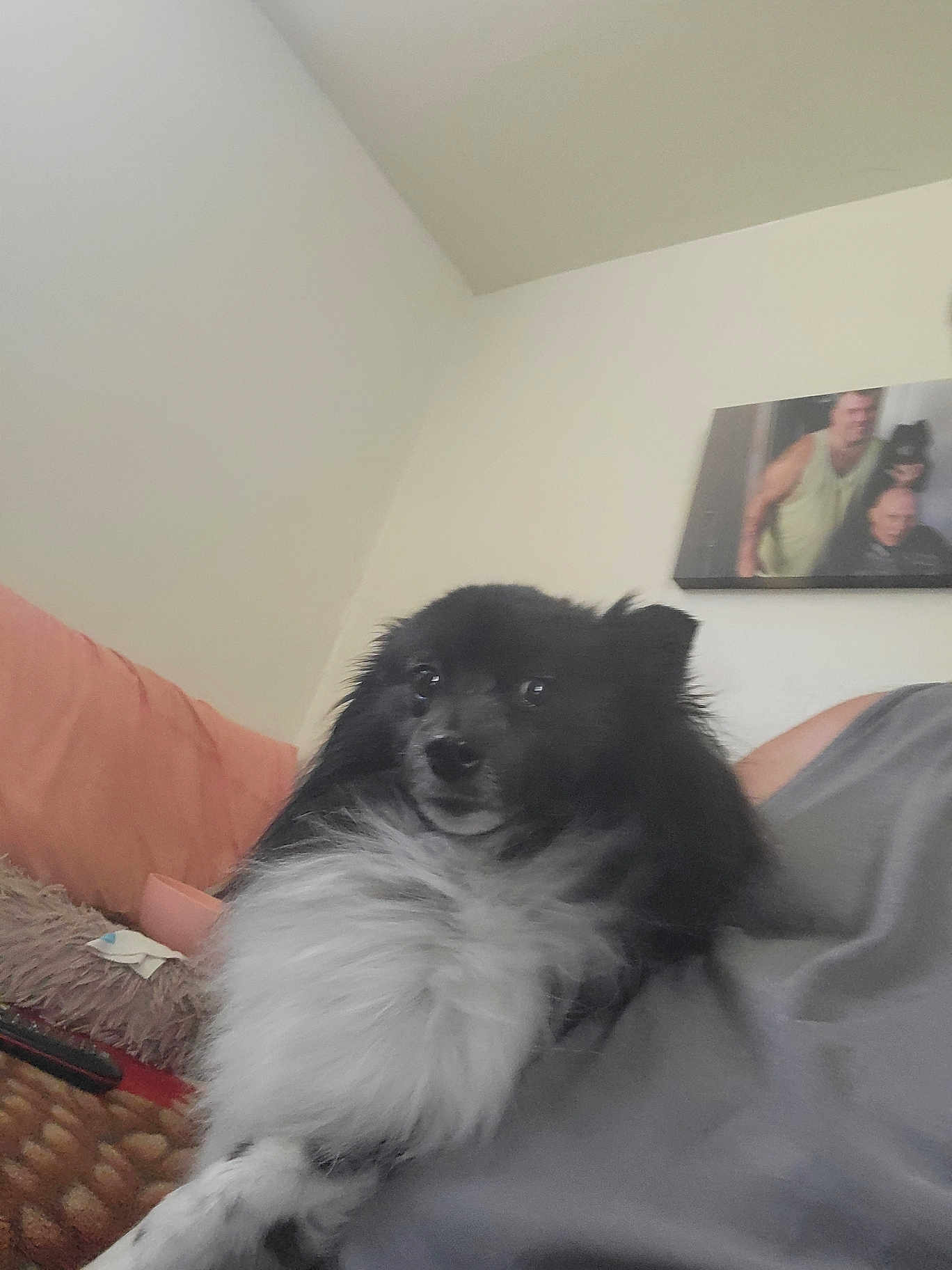 Bubba