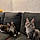 Léa T.