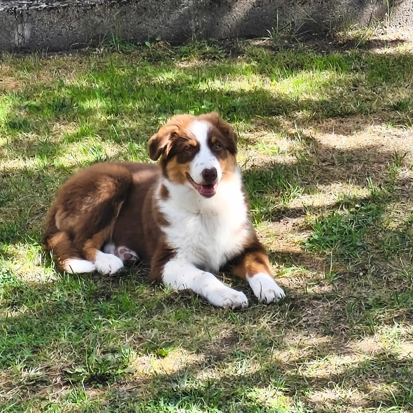 Béley