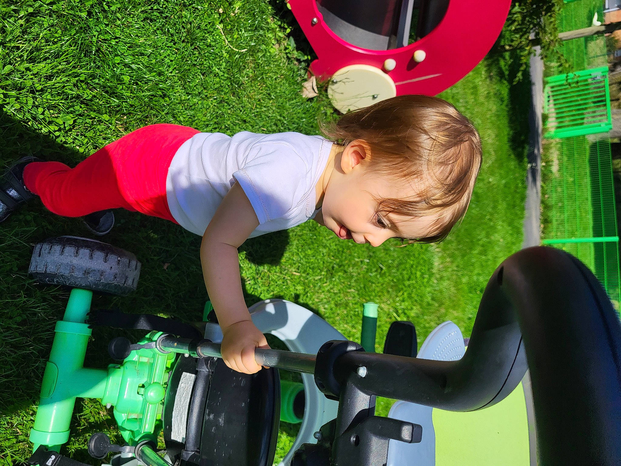 Giullia participe au concours pour gagner de l'argent avec cette photo : automotive_tire, automotive_wheel_system, child, fun, grass, green, lawn, leisure, outdoor_play_equipment, person, plant, play, playground, recreation, shorts, t_shirt, tire, toddler, toy, vehicle