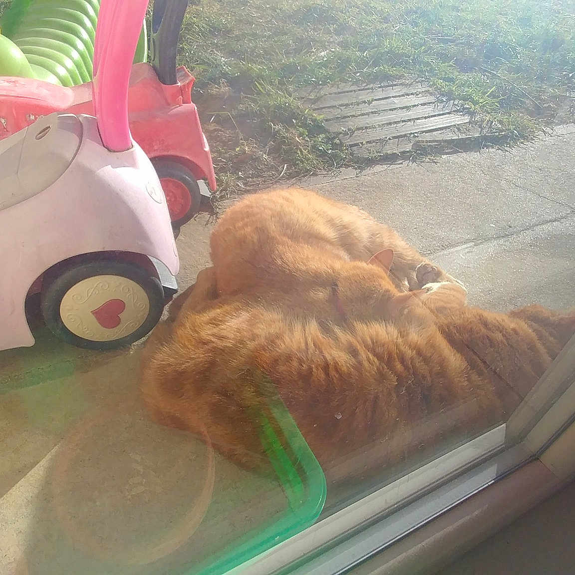 Mouko
