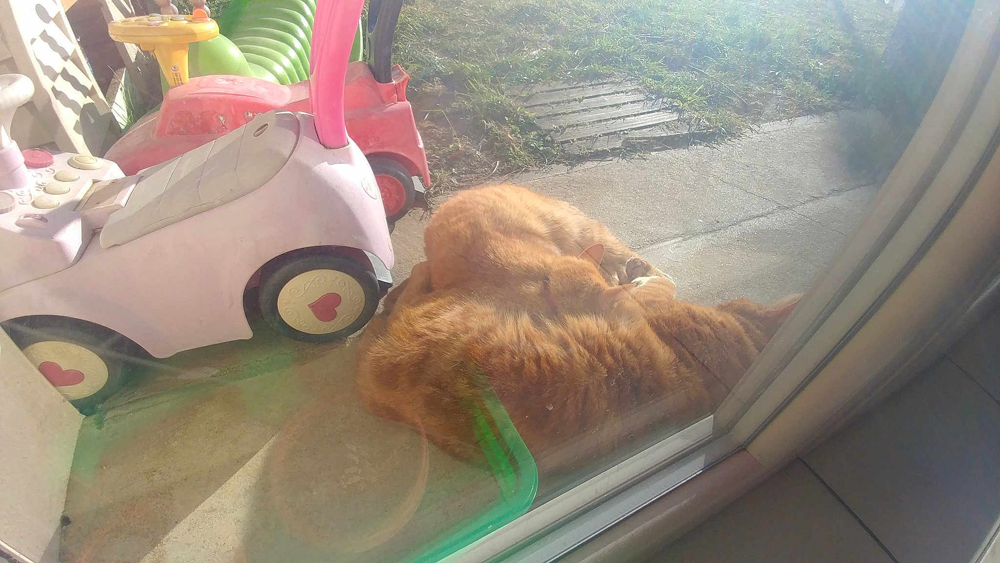 Mouko
