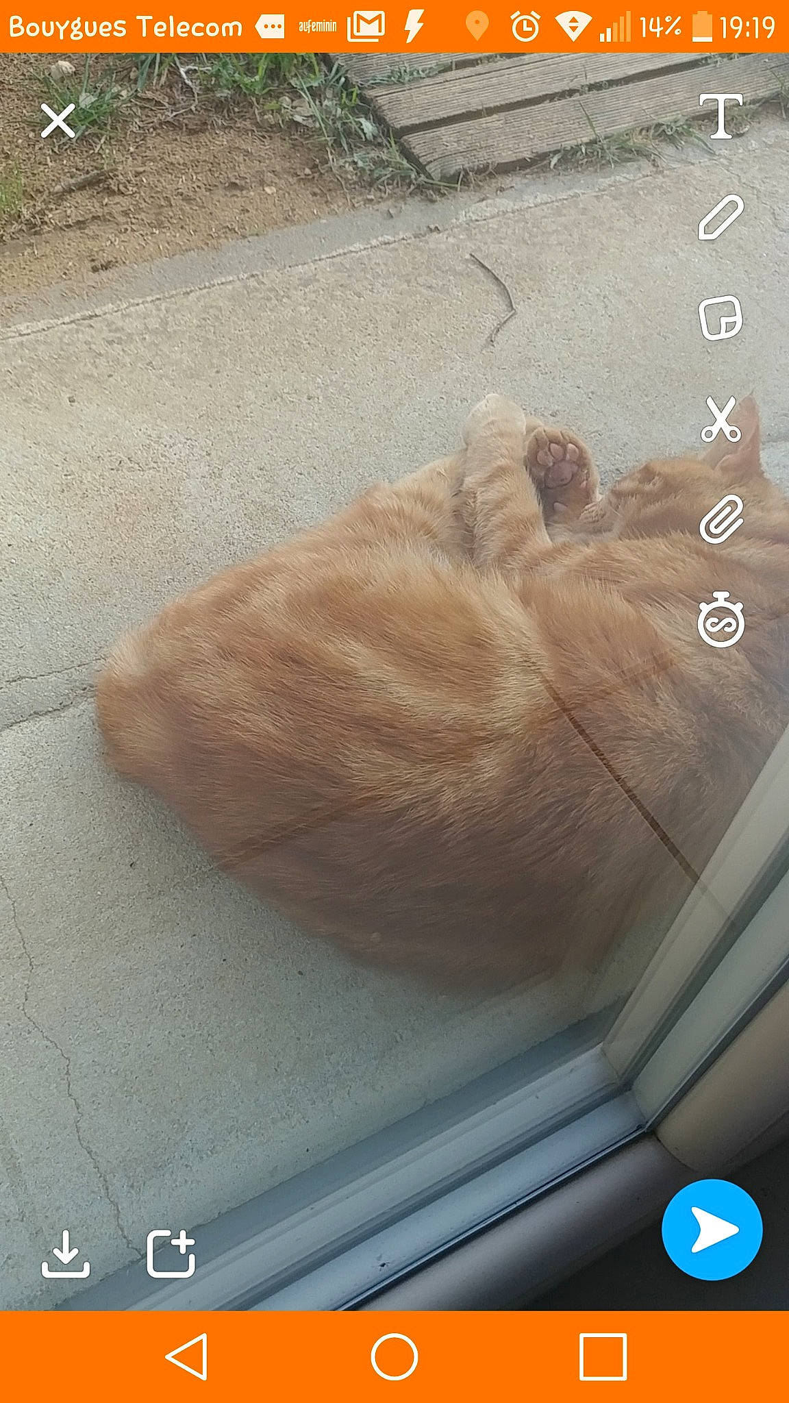 Mouko participe au concours pour gagner de l'argent avec cette photo : fawn, wood