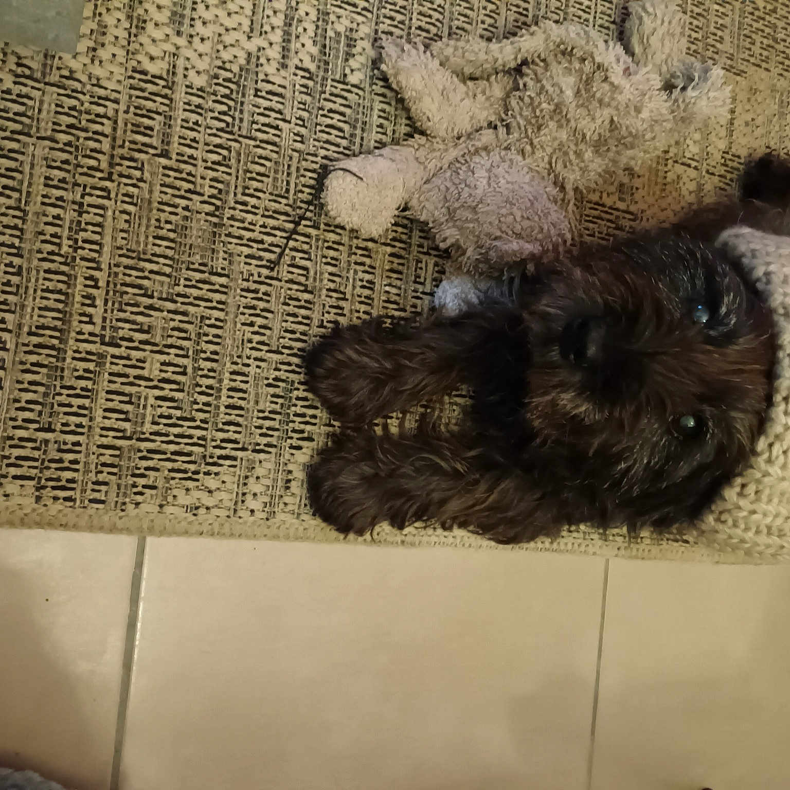 Emie