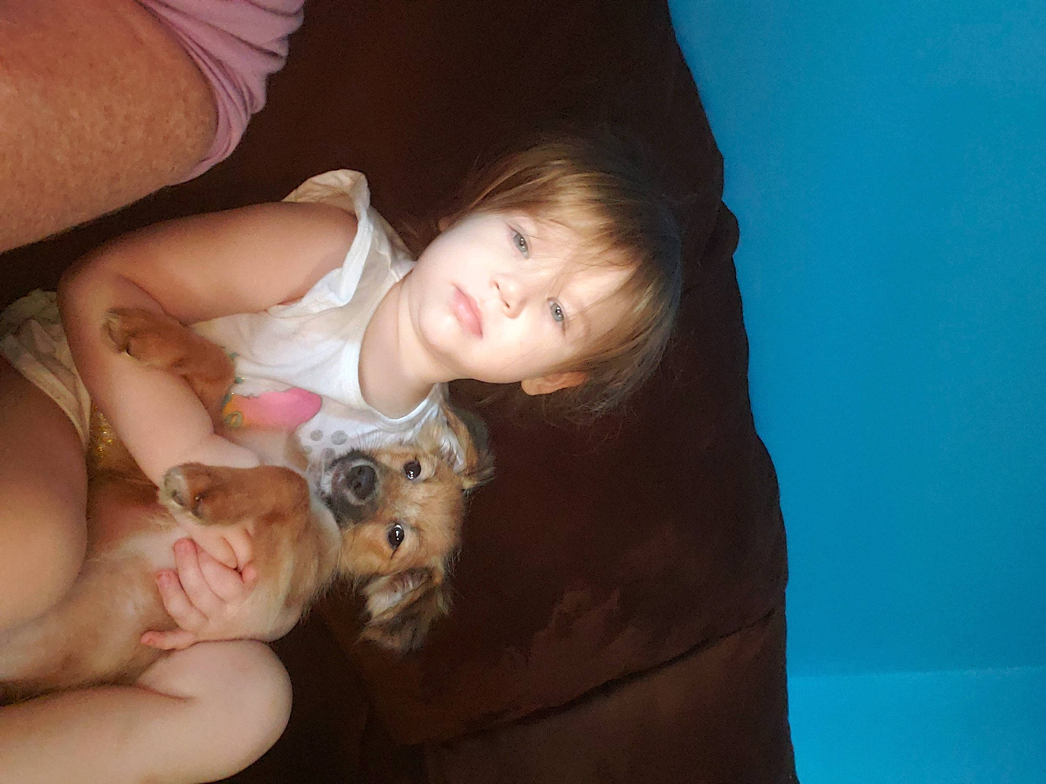 Sinbad joined the competition — help win amazing prizes! abdomen, carnivore, cheek, child, comfort, eye, facial_expression, fawn, flash_photography, fun, gesture, happy, iris, lap, mouth, nose, skin, thigh, toddler, trunk