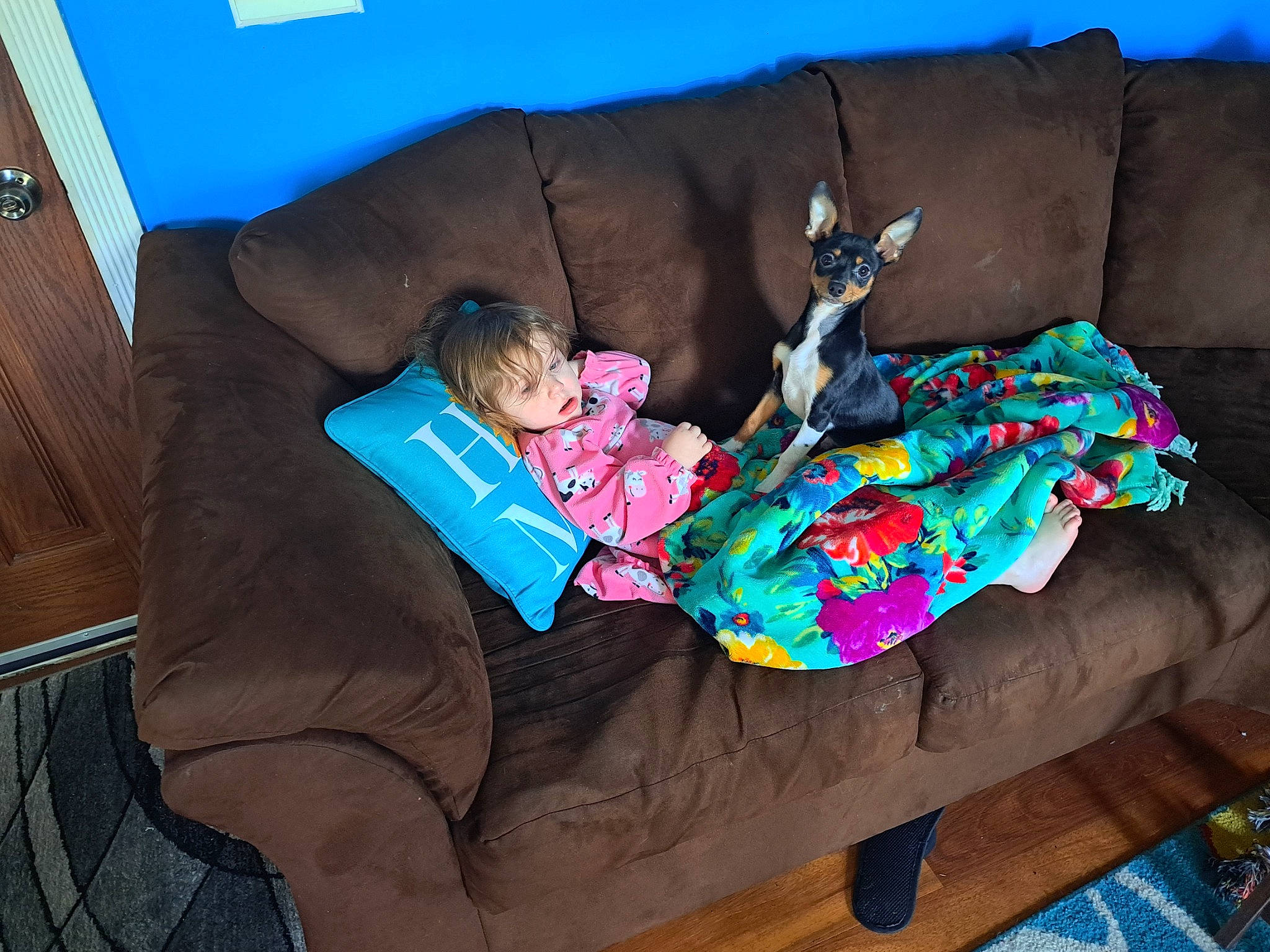 Prince Ali joined the competition — help win amazing prizes! bedding, comfort, couch, flooring, hardwood, lap, leisure, linens, living_room, magenta, nap, purple, room, sitting, sofa_bed, textile, throw_pillow, toddler, tree, wood