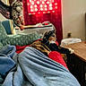 cat, calico_cat, blanket, red_curtain, plush_toy, leopard_plush, indoor, furniture, table, sofa, cozy, relaxing, pet, animal, soft_fabric, window_light, home, domestic, resting, warm_lighting