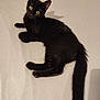 animal, black_cat, close_up, curious, cute, domestic_animal, feline, fur, indoor, kitten, looking_up, lying_down, pet, resting, shadow, soft_lighting, tail, whiskers, yellow_eyes, young_cat
