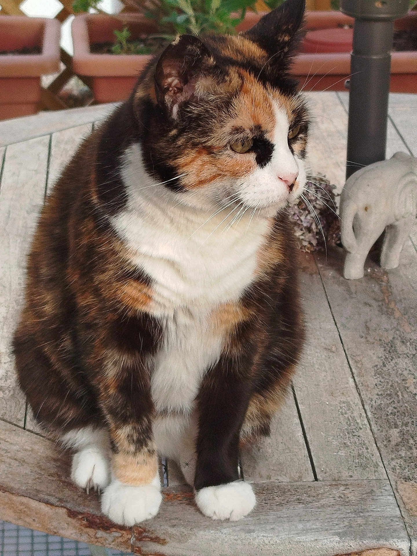 Patachou