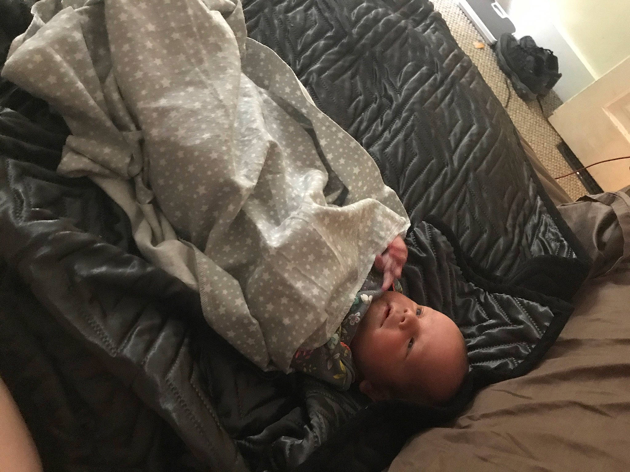 Hermione joined the competition — help win amazing prizes! black_hair, comfort, flesh, furniture, hand, human, jacket, leg, nap, outerwear, person, sitting, sleep, textile