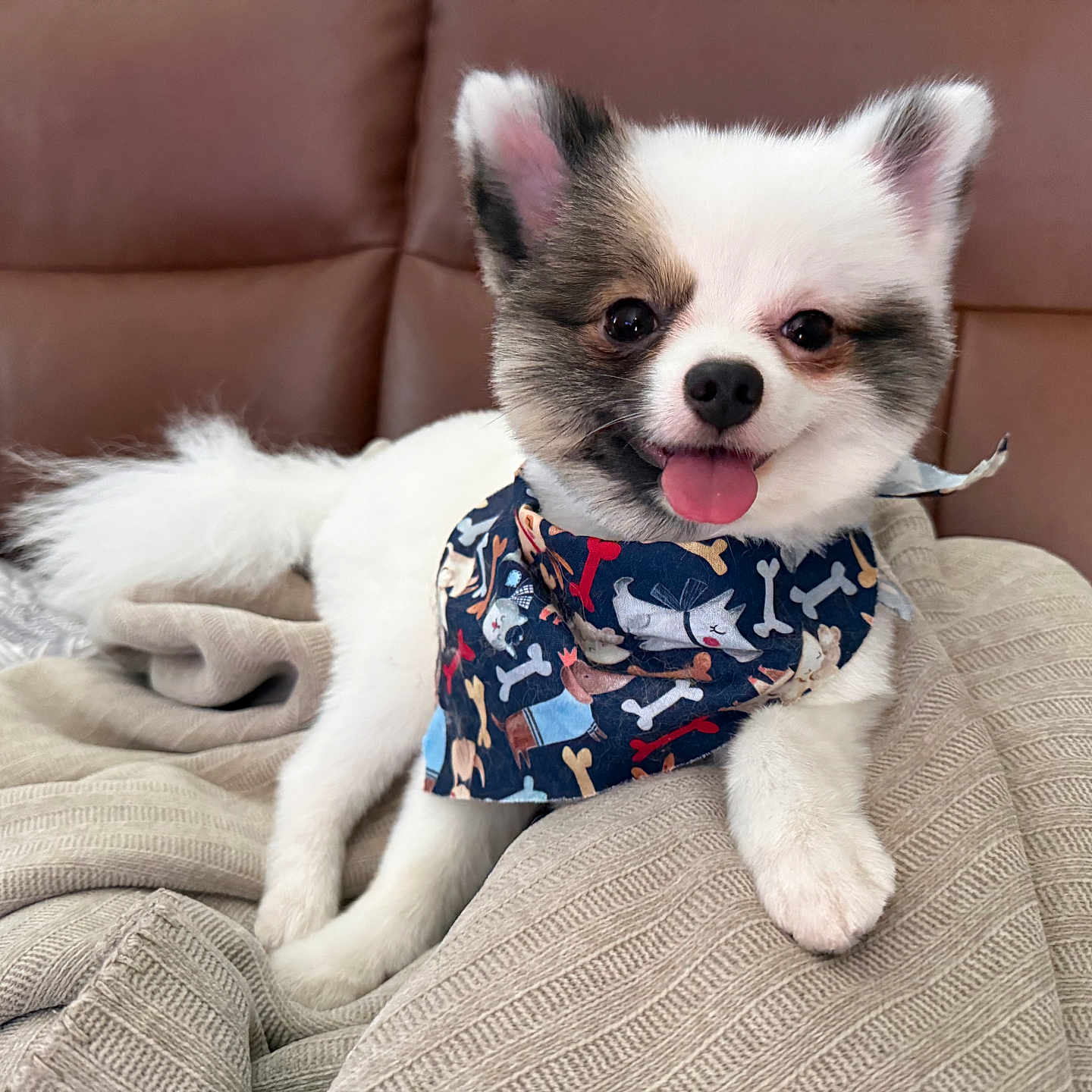 Rocket