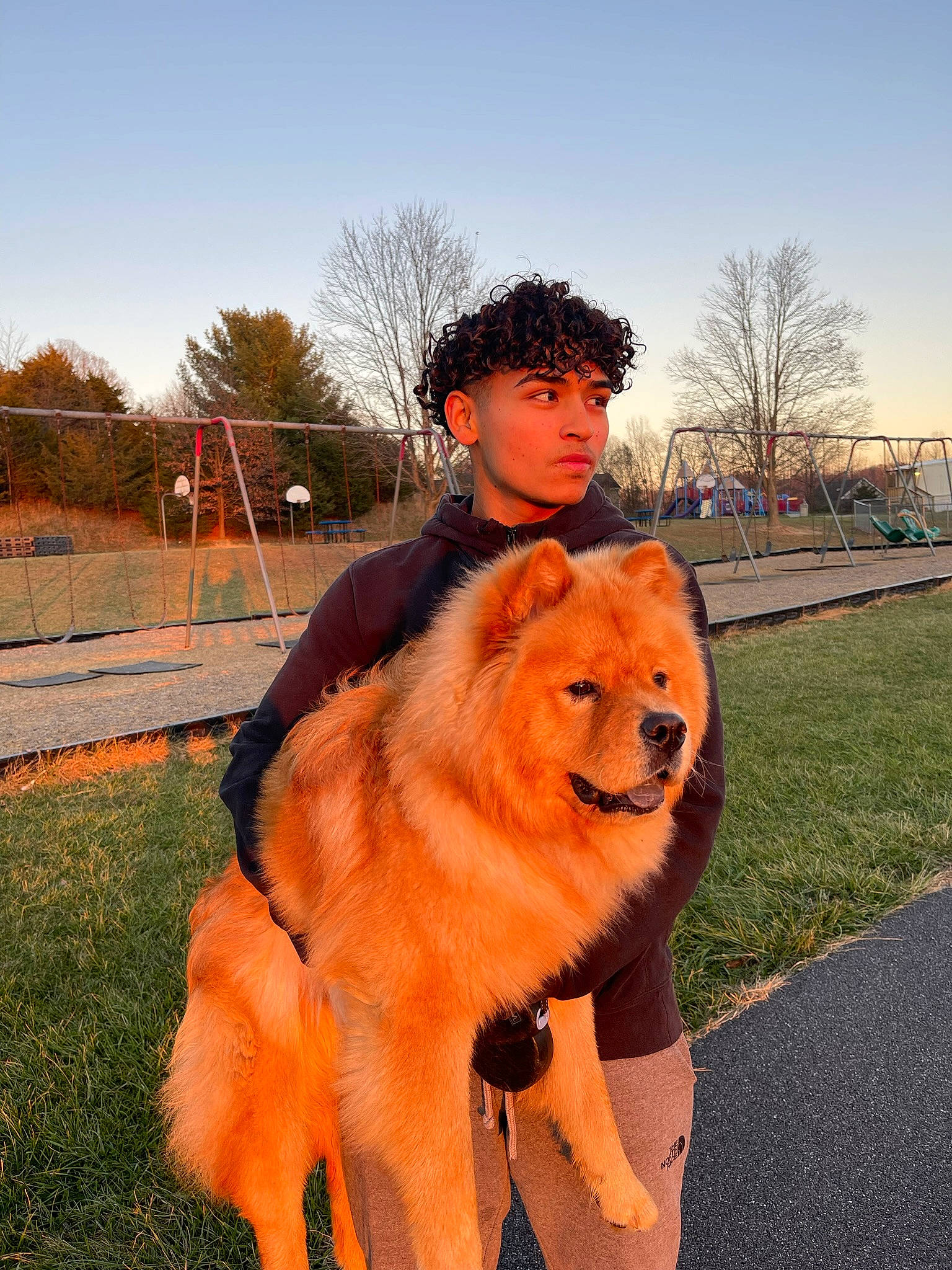 Punte joined the competition — help win amazing prizes! canidae, carnivore, companion_dog, dog_breed, fur, fur_clothing, grass, happy, hat, landscape, orange, personal_protective_equipment, plant, sky, smile, spitz, sporting_group, tree, winter, working_animal