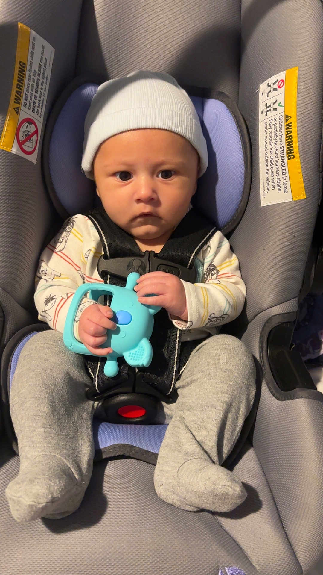 Xzavier joined the competition — help win amazing prizes! baby, infant, car_seat, beanie, teether, toy, onesie, seat_belt, buckle, warning_label, gray_fabric, purple_padding, socks, legs, chubby_cheeks, serious_expression, indoor, portrait, looking_at_camera, sitting