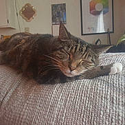 Merlot is registered to the contest to win money with this photo: