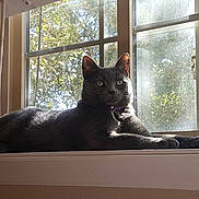 Dimitri is registered to the contest to win money with this photo: