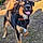 Locky