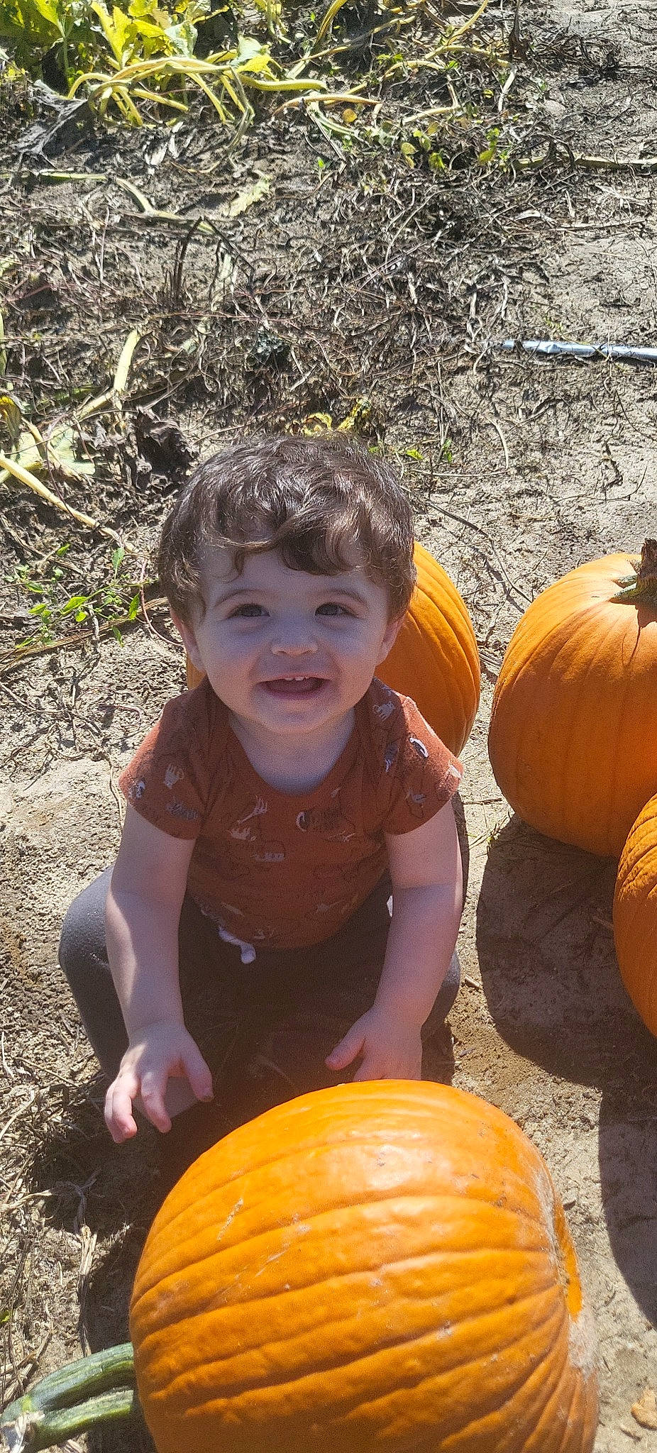 Alec joined the competition — help win amazing prizes! botany, calabaza, clothing, cucurbita, eye, fruit, fun, gourd, happy, human_body, joy, leaf, natural_foods, person, plant, pumpkin, smile, squash, toddler, vegetable