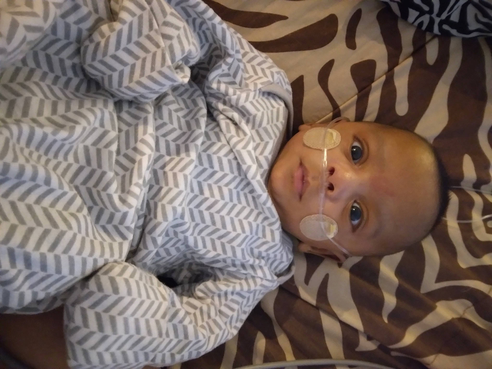 Kaleo is registered to the contest to win money with this photo: baby, baby_safety, baby_toddler_clothing, bedding, bedtime, cheek, child, comfort, facial_expression, iris, linens, mouth, nose, person, room, skin, sleeve, smile, textile, toddler