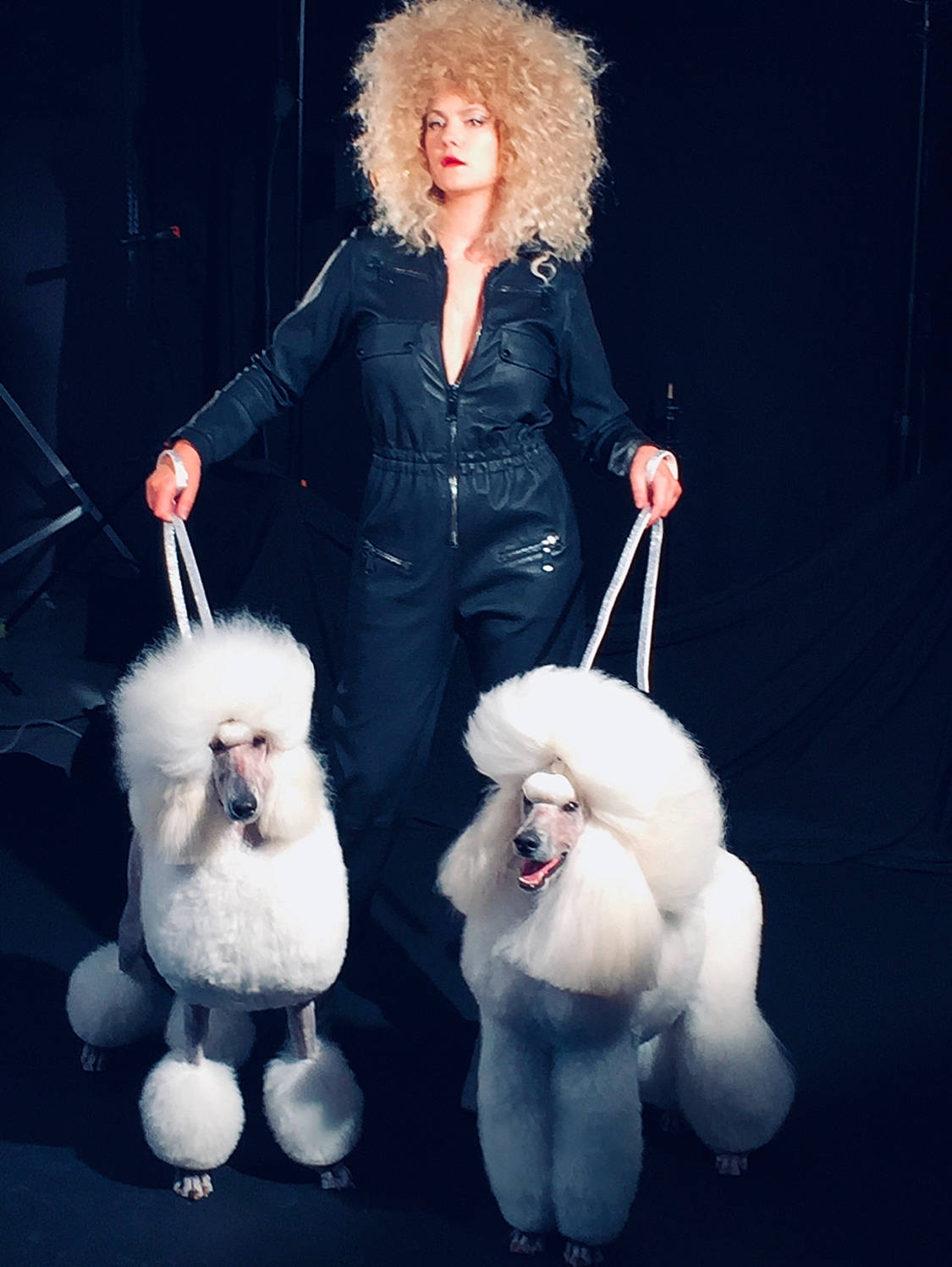 Justice participe au concours pour gagner de l'argent avec cette photo : carnivoran, dog, dog_breed_group, dog_like_mammal, fur, fur_clothing, mammal, non_sporting_group, performance, person, poodle, textile, vertebrate