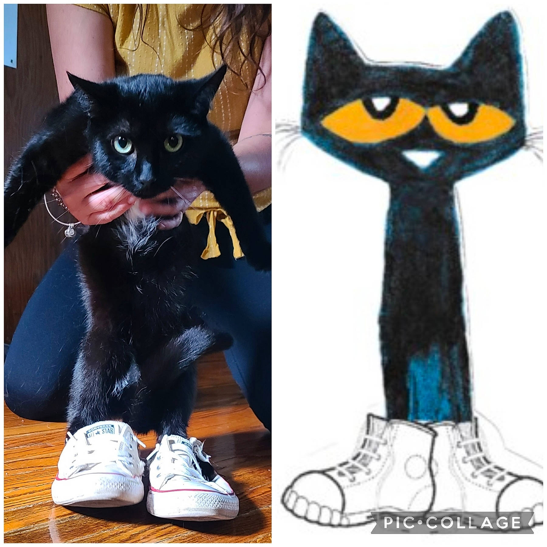 Gotti joined the competition — help win amazing prizes! animal_figure, black, black_cat, blue, carnivore, cat, electric_blue, felidae, fictional_character, font, gesture, personal_protective_equipment, sleeve, small_to_medium_sized_cats, snout, tail, toy, walking_shoe, whiskers, white