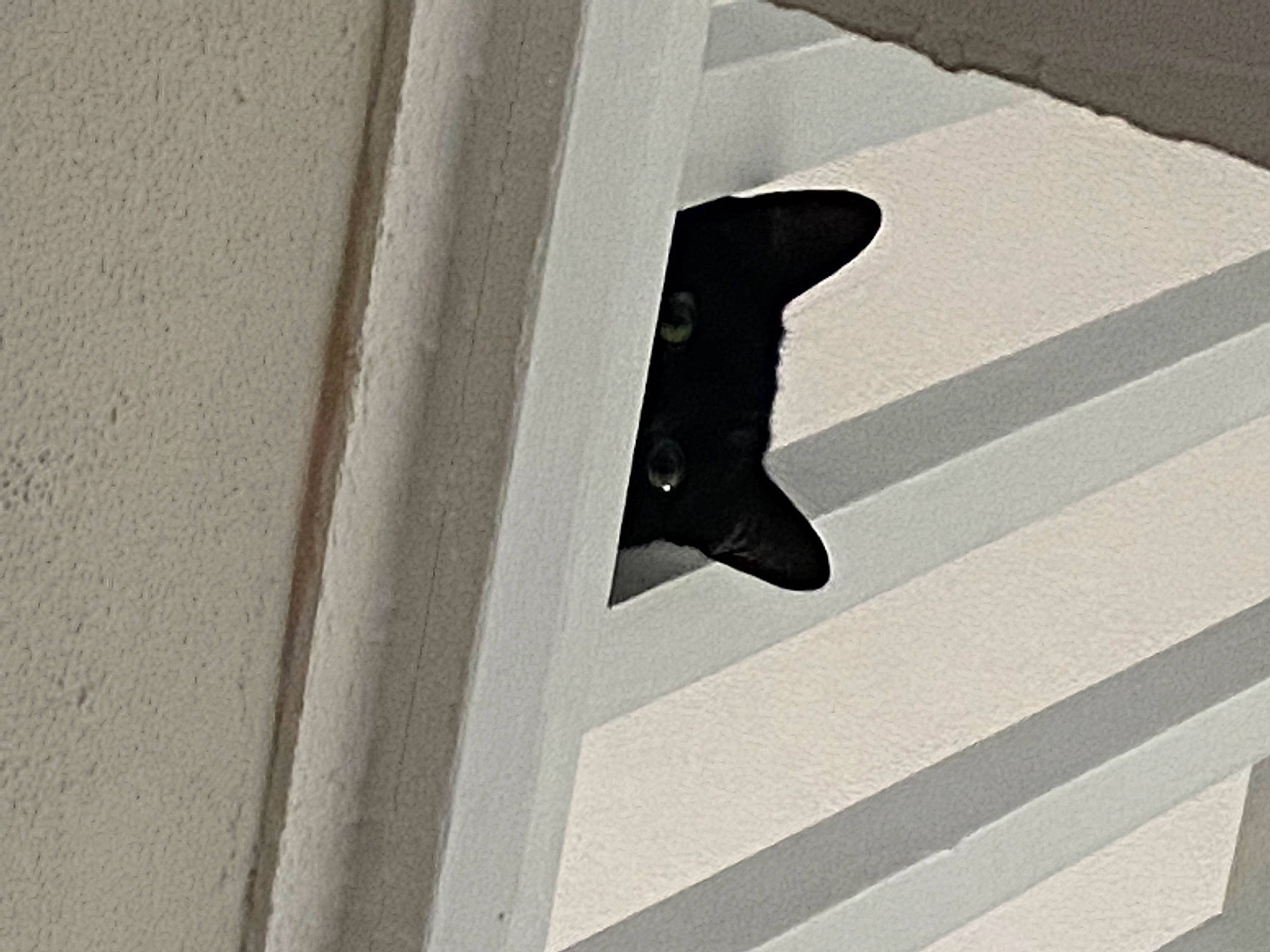 Gotti joined the competition — help win amazing prizes! carmine, font, grey, human_leg, monochrome, monochrome_photography, pattern, pedestrian, room, shadow, tints_and_shades, wood